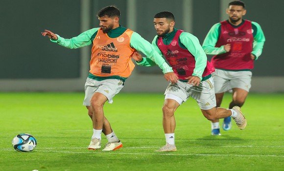 فيفا سيري 2024 (الجزائر – جنوب إفريقيا): “الخضر” في مباراة من أجل التأكيد