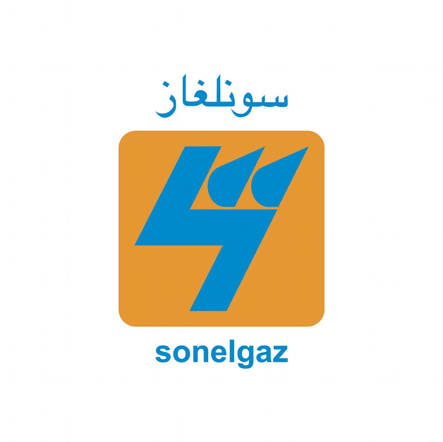 الطلب المرتفع لم يؤثر على التزود محلياً ولا على التصدير نحو تونس