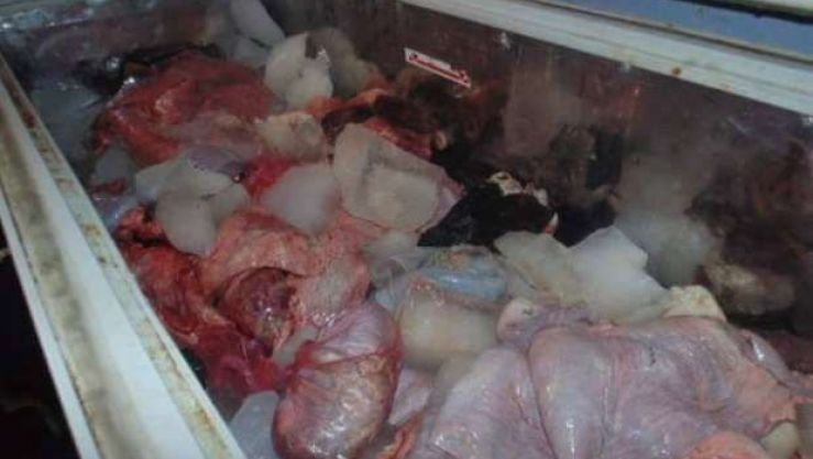 وهران: ضبط قناطير من اللحوم والأحشاء الفاسدة