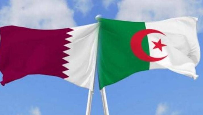 مجلس الأعمال الجزائري القطري: من الضروري تعزيز الشراكة بين مؤسسات البلدين في المجالات الاستراتيجية.